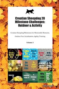 Croatian Sheepdog 20 Milestone Challenges