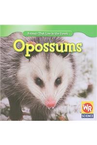 Opossums