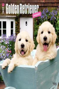 Golden Retriever Puppies 2017 Calendar