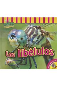 Las Libelulas