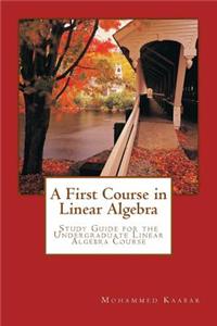 A First Course in Linear Algebra: Study Guide for Undergraduate Linear Algebra Course