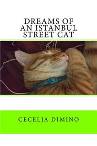 Dreams of an Istanbul Street Cat