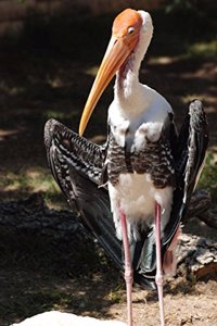 Marabou Stork Bird Portrait Journal