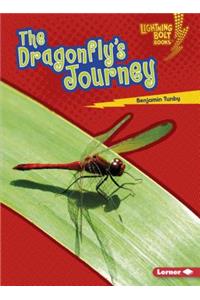 The Dragonfly's Journey