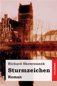 Sturmzeichen: Roman