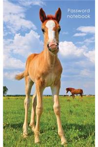Password Notebook: Internet Address and Password Logbook / Journal / Diary - Cute Foal Cover