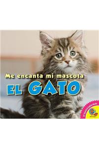 Gato