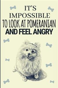 It's Impossible To Look At Pomeranians And Feel Angry