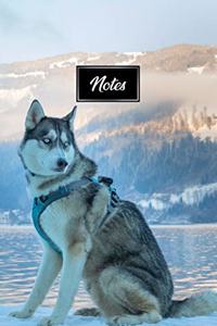 Siberian Husky Huskies Dog Pup Puppy Doggie Notebook Bullet Journal Diary Composition Book Notepad - Blue Eyes