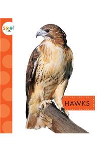 Hawks