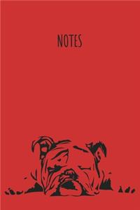 Notes