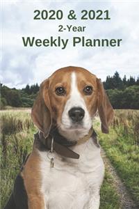 2020 & 2021 Weekly Planner - Two Year Appointment Book Gift - Two-Year Agenda Notebook For Beagle Owners