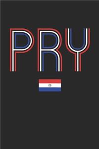 Vintage Paraguay Notebook - Paraguay Diary - Retro Paraguayan Flag Journal - Paraguay Gifts