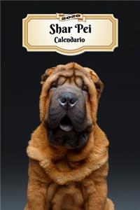 2020 Shar Pei Calendario