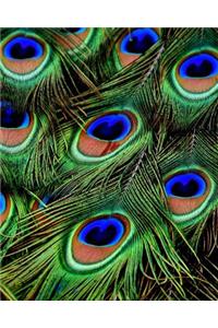 Peacock Feathers Dot Grid Bullet Journal: 150 Page Notebook 8 X 10 Inches