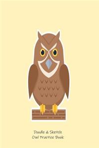 Doodle & Sketch Owl Practice Book