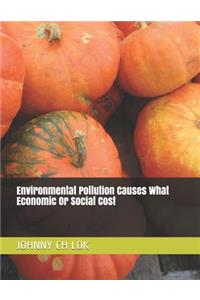 Environmental Pollution Causes What Economic or Social Cost