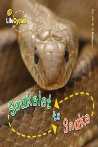 Life Cycles: Snakelet to Snake