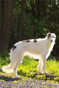 Stunning White and Brown Borzoi Dog Pet Journal
