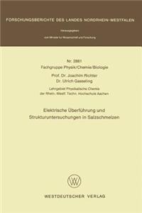 Elektrische Überführung und Strukturuntersuchungen in Salzschmelzen