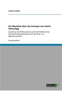 Ein Überblick über das Konzept von Astrid Schreyögg