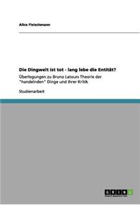 Die Dingwelt ist tot - lang lebe die Entität?