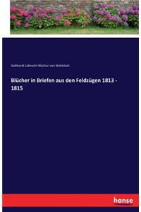 Blücher in Briefen aus den Feldzügen 1813 - 1815