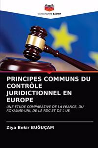 Principes Communs Du Contrôle Juridictionnel En Europe
