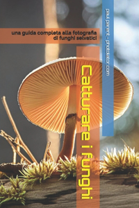 Catturare i funghi