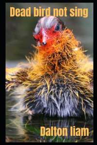 Dead bird not sing