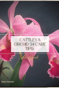 Cattleya Orchid 24 Care Tips