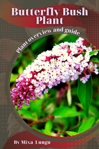 Butterfly Bush Plant
