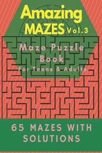 Amazing Maze Vol.3