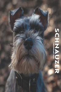 Schnauzer Calendar 2021