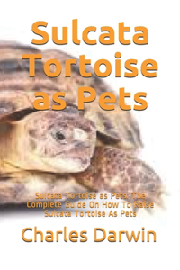 Sulcata Tortoise as Pets