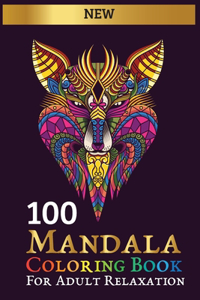 100 mandala coloring book