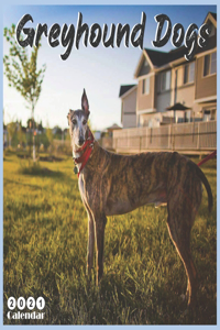 Greyhound Dogs 2021 Calendar