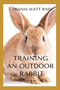 Training an Outdoor Rabbit