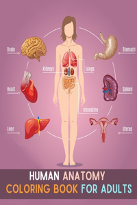 Human Anatomy Coloring Book For Adults
