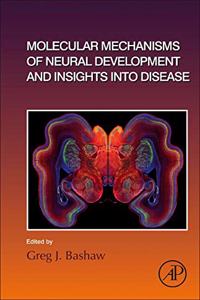 Molecular Mechanisms of Neural Development and Insights Into Disease