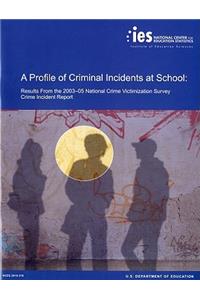 Profile of Criminal Incidents at School