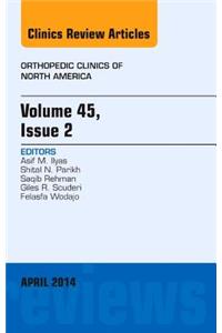 Volume 45, Issue 2, an Issue of Orthopedic Clinics