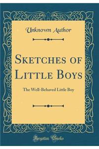 Sketches of Little Boys: The Well-Behaved Little Boy (Classic Reprint)