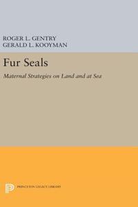 Fur Seals