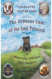 Arduous Case of the Lost Princess