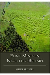 Neolithic Flint Mines in Britain