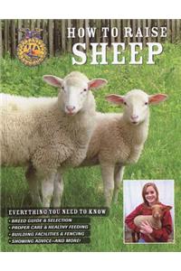 How to Raise Sheep: Everything You Need to Know