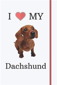 I Love My Dachshund