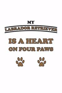 My Labrador Retriever is a heart on four paws
