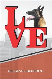 Belgian Sheepdog